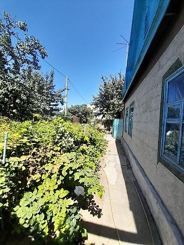 Продажа коттеджей и домов: Продается в селе Люксембург уютный немецкий кирпичный дом О доме — 5