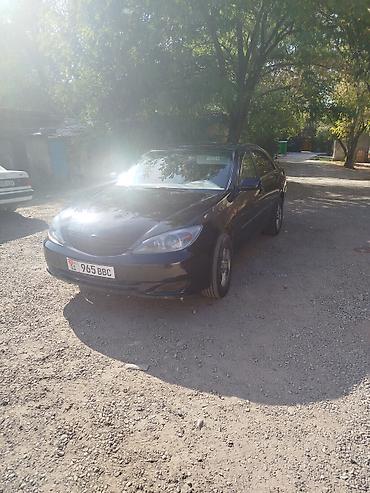 camri: Toyota Camry: 2002 г., 2.4 л, Механика, Газ, Седан — 1