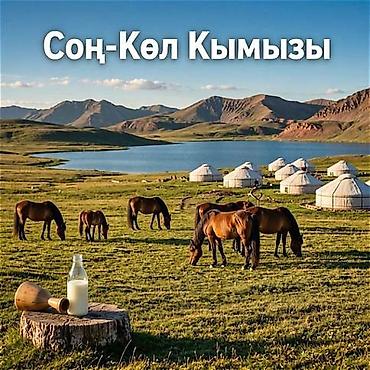 кобыла: Кымыз, саамал, В розницу, Бесплатная доставка — 2