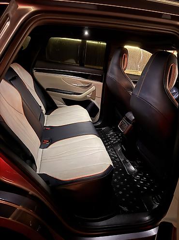 подсветка для машины в салон: BYD Song Plus: 2022 г., 0.1 л, Автомат, Электромобиль, Кроссовер — 6