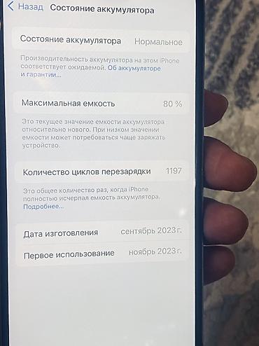 Apple iPhone: IPhone 15 Pro, Б/у, 512 ГБ, Natural Titanium, 80 % — 11