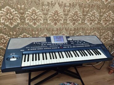 Digər auditexnika: KORG PA 800 256 ram. 3.0 32 qb flaş kart