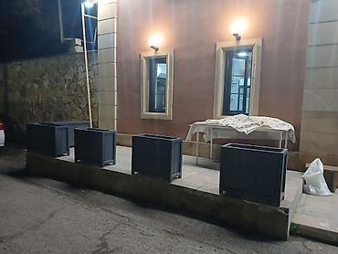 bitki guli: Taxtalar ile ev, bağ, restoran, ofis, otel ve s. məkanlarınızın müasir — 3