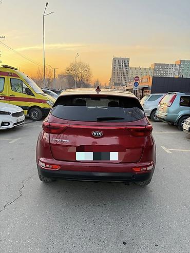авто кж: Kia Sportage: 2017 г., 2.4 л, Автомат, Бензин, Кроссовер — 2