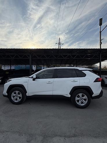 raf: Toyota RAV4: 2019 г., 2.5 л, Автомат, Гибрид, Кроссовер — 1