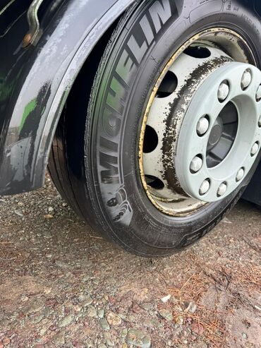 Грузовики: Грузовик — 12