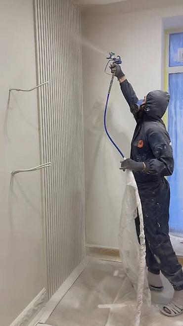 Покраска: Покраска стен, Покраска потолков, Полимерная покраска, На масляной основе, На водной основе, Больше 6 лет опыта — 5