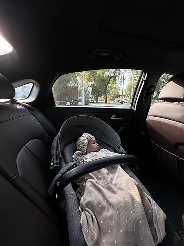 стокки коляска: Коляска, Stokke, цвет - Серебристый, Б/у, Самовывоз — 4
