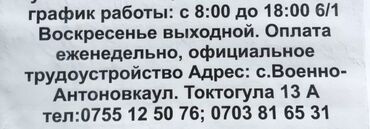 ала тоо ж м: Талап кылынат Сапат көзөмөлдөөчү адис, Төлөм Жума сайын, Тажрыйбасы бир жылдан аз