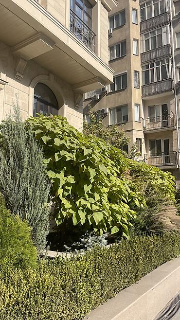 сдаю квартира в сокулук: Cдается 1х комнатная квартира С мебелью полностью Со всеми — 2