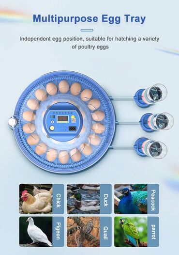 Oprema za kućne ljubimce: INKUBATOR Automatski nove generacije za 52 jaja 12v/220v — 8