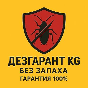 Клининговые услуги: Дезинфекция, дезинсекция, | Вирусы, микробы, Тараканы, Клопы, | Подвал, погреб, Подъезды, Дома — 1