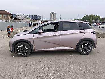 BYD: BYD Dolphin: 2022 г., Электромобиль, Хэтчбэк — 4