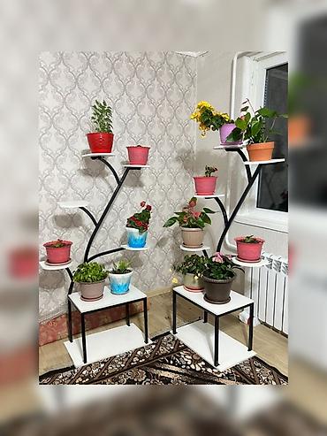 черные часы: 2 штукдан өйдо доставка бар шар ичи — 10