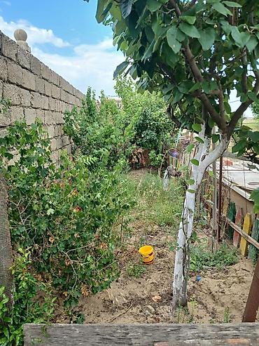 ev və bağ: Nardaran qəs. 3 otaqlı, 3 kv. m, Kredit yoxdur, Orta təmir — 1