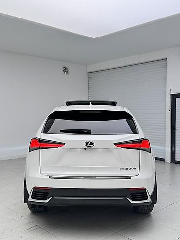 мини прес: Lexus NX: 2020 г., 2.5 л, Автомат, Гибрид, Кроссовер — 5
