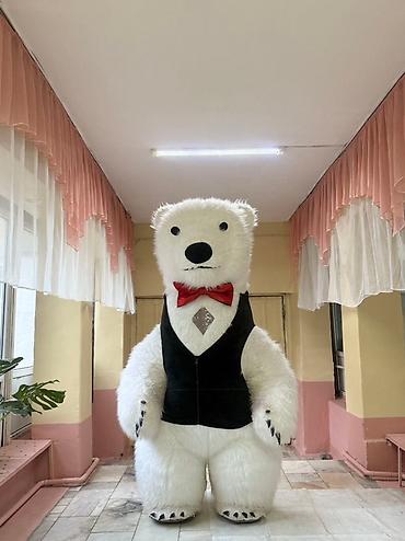 Киреге берилүүчү кийимдер: Чоң куурчак, Жаныбар, Аюу — 2