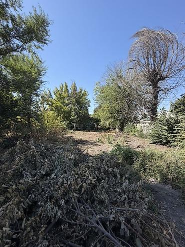 беловодский: БЕЛОВОДСКОЕ АЙЫЛЫНДА ҮЙ САТЫЛАТ! 📍 Дареги: Беловодское айылы, Карпов — 10
