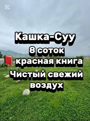 восток 5 участок: 8 соток, Для строительства, Красная книга