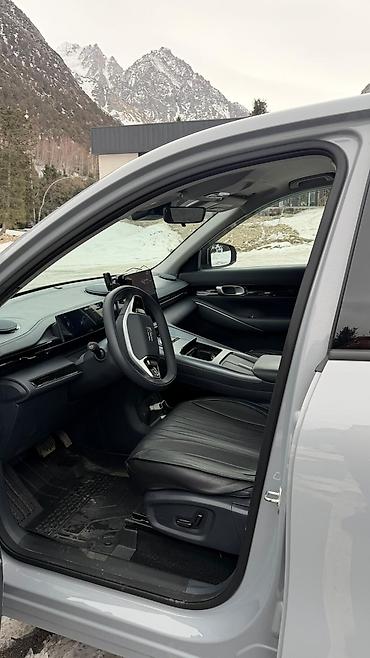 Geely: Geely : 2025 г., Электромобиль, Кроссовер — 9