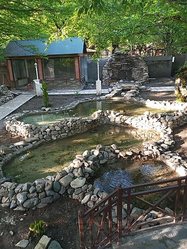 Fasad işləri: Divar üzlüyü və dekorativ hörgü xidməti ⁸ - İç və çöl məkanlar üçün — 38