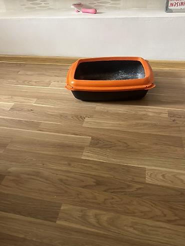 Зоотовары: Məhsul: Açıq tip pişik tualeti (kum qabı) - Material: Bərk plastik - — 3