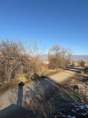 Продажа складов и мастерских: Продам Кошару, продам участок, на красной книге с прилегающей — 9