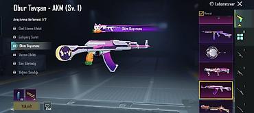 Digər: PUBG Mobile hesabı – zəngin inventar və xüsusi kosmetiklər - — 10