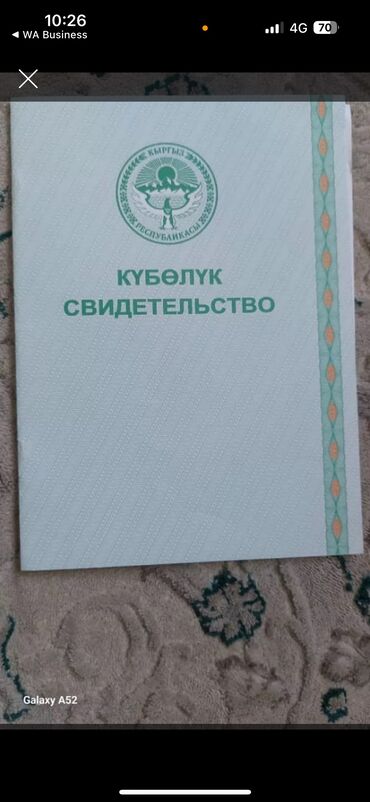 1 гектар земли: 3000 соток, Для сельского хозяйства, Генеральная доверенность