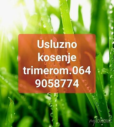 trimer lidl cena: Usluzno kosenje trimerom.Krusevac i okolina — 1