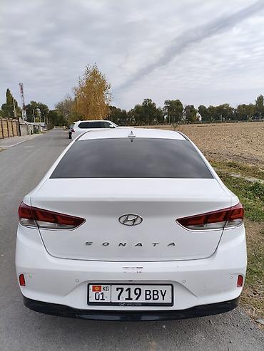 hunda: Hyundai Sonata: 2023 г., 2 л, Автомат, Газ, Седан — 9