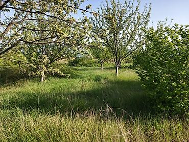 Torpaq sahələrinin satışı: 30 sot, Tikinti, Mülkiyyətçi, Kupça (Çıxarış) — 8