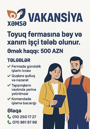 iş elanları tecrubesiz: Toyug ferması abed forma qalmaga yer verilir ayda 4 gun isdirahet — 1