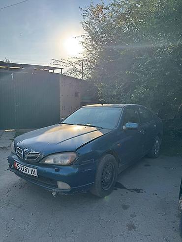 560 sec: Nissan Primera: 2003 г., Механика, Седан — 2