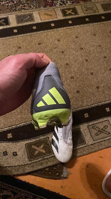 predator: Butslar Adidas, Ölçü: 41, İşlənmiş — 4