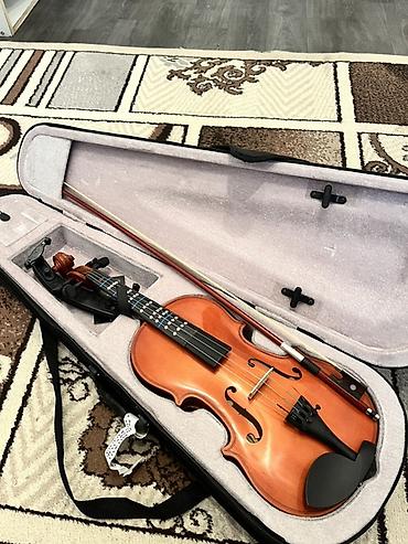 Скрипки: Скрипка с комплектом аксессуаров в футляре. Характеристики и состав — 1