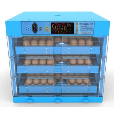 İnkubatorlar: Fabrik istehsalı, Tam avtomat, Bütün növ quşlaq üçün — 9