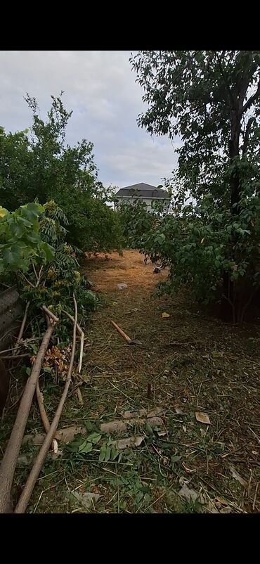 Həyət evləri və villaların satışı: 4 otaqlı, 5 kv. m, Kredit yoxdur, Orta təmir — 8