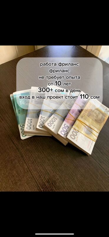 место в салоне: Фриланс