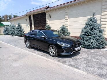 елентра хундай: Hyundai Sonata: 2020 г., 0.2 - engine capacity л, Автомат, Газ, Седан