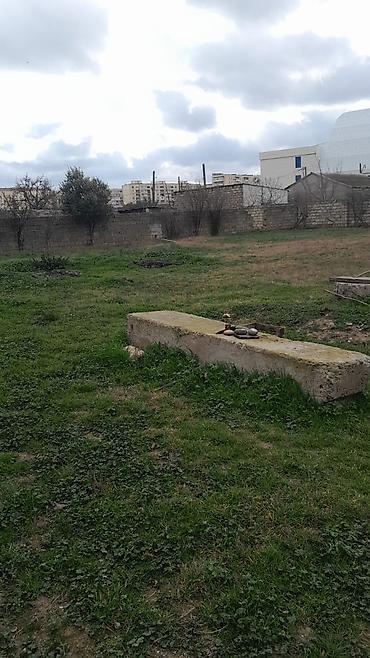 Torpaq: 21 sot, Mülkiyyətçi, Kupça (Çıxarış) — 4