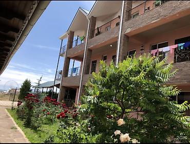 Беседки: Беседка Дерево — 1