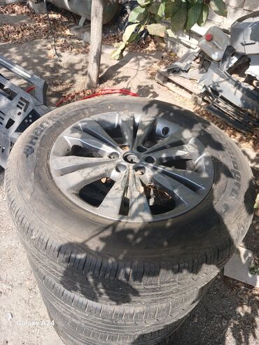 Digər baqaj aksesuarları: Pikap üçün hardtop və aksesuarlar - Şəkillərdə müxtəlif pikap — 17