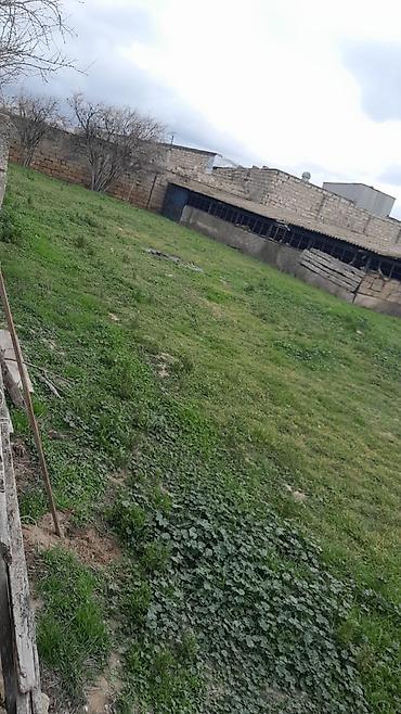 Torpaq: 21 sot, Mülkiyyətçi, Kupça (Çıxarış) — 1