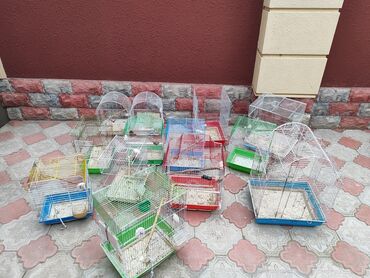 поводок для собак: Müxtəlif ölcülü qəfəslər. 5mantdan. hamısını alana 60 man. 13 ədəddir