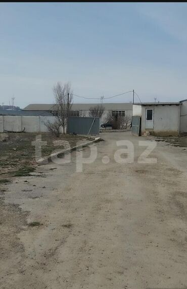 qara torpaq: 500 соток, Для бизнеса, Собственник, Купчая