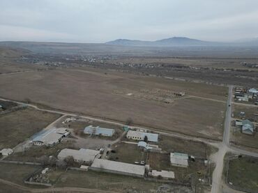 Продажа участков: 290 соток, Красная книга, Тех паспорт, Договор купли-продажи — 9