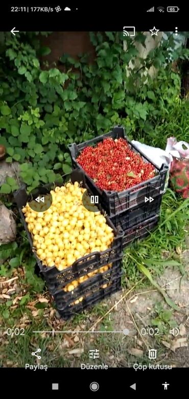 Torpaq sahələrinin satışı: 6 sot, Tikinti, Barter mümkündür, Kupça (Çıxarış)