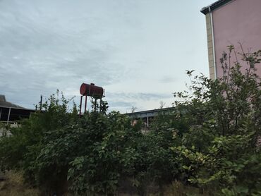 Torpaq sahələrinin satışı: 6 sot, Kənd təsərrüfatı, Barter mümkündür, Kupça (Çıxarış) — 11