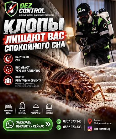Дезинфекция, дезинсекция: Дезинфекция, дезинсекция, | Клопы, Блохи, Тараканы, | Квартиры, Дома, Кафе, магазины — 1